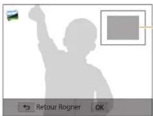 Retour Rogner OK