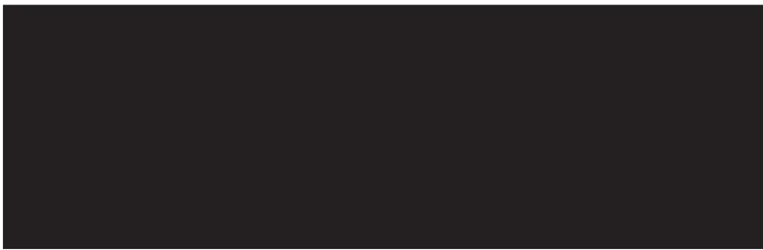 BAUMATIC MG6 - QUANTITE PRIX UNIQUE TOTAL - 1