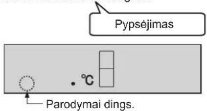 Pypséjimas Parodymai dings.