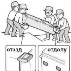 отзад отдолу