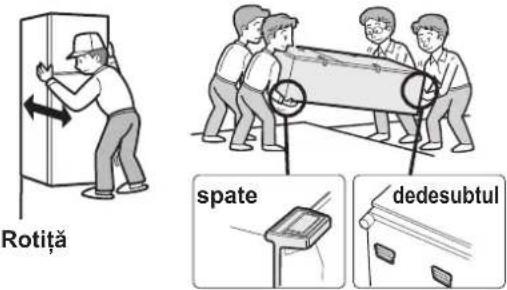 Rotiţă spate dedesubtul