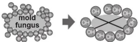SHARP SJ-SC480VSL - Notes about Plasmacluster operation - 1