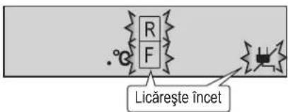 .°G R F Licărește încet