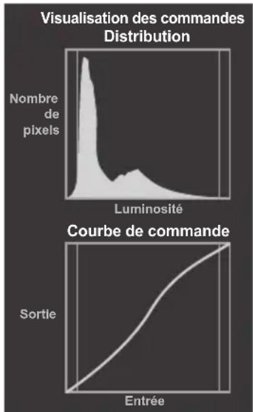 TOSHIBA 55WL768 - Visualisation des commandes - 1
