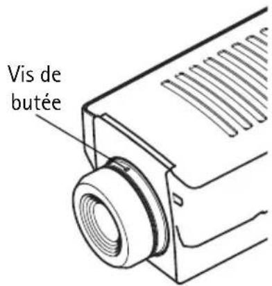 Vis de butée