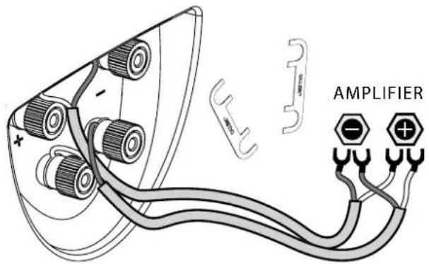 AMPLIFIER