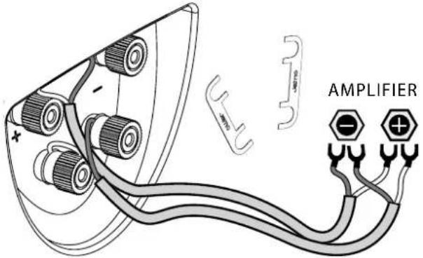 AMPLIFIER