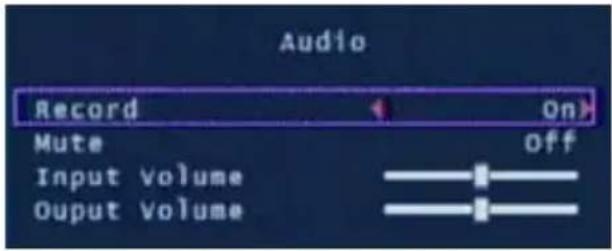Audio Record On Mute off Input volume Output volume