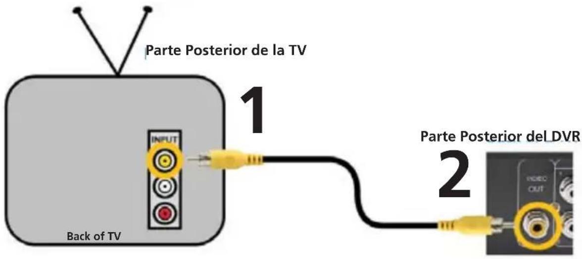 Parte Posterior de la TV 1 Back of TV INPUT 2 Parte Posterior delDVR