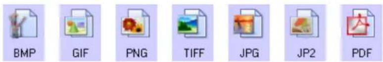 BMP GIF PNG TIFF JPG JP2 PDF