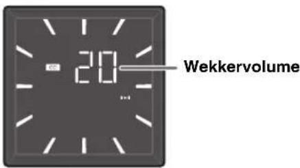 20 Wekkervolume