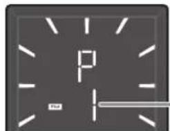 P Put