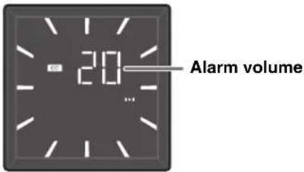 20 Alarm volume