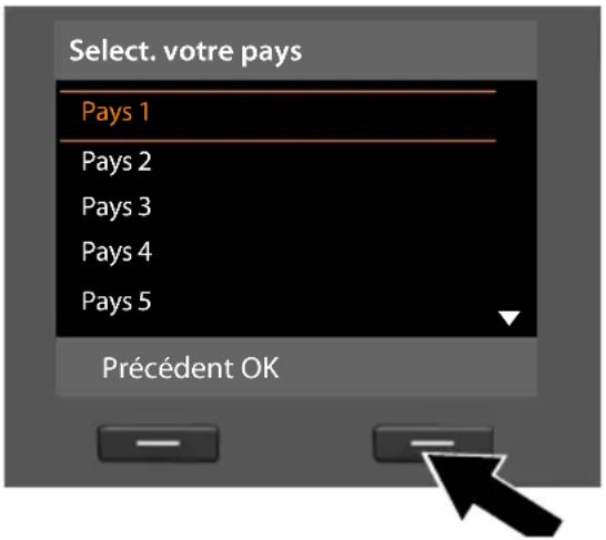 Select. votre pays Pays 1 Pays 2 Pays 3 Pays 4 Pays 5 Précédent OK