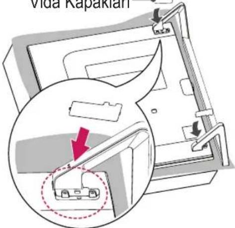 Vida Kapaklari