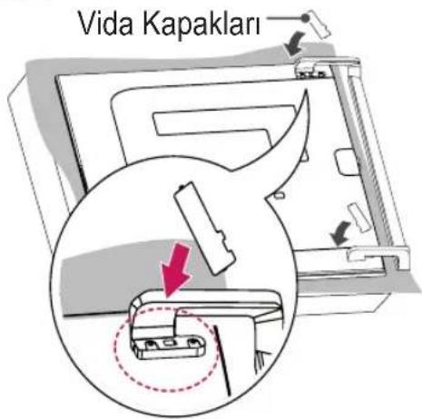 Vida Kapakları