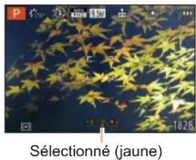 P Sélectionné (jaune)