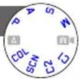LEICA D-Lux 6 ‘Edition 100’ - [Timbre date] - 1