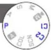 LEICA D-Lux 6 ‘Edition 100’ - [Vit. obtu. mini.] - 1