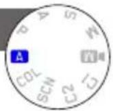 LEICA D-Lux 6 ‘Edition 100’ - [Mode couleur] - 1
