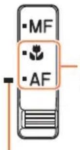 -MF -AF