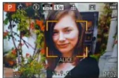 P ALICE 1702