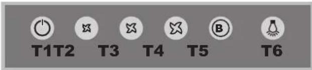 T1T2 T3 T4 T5 B T6