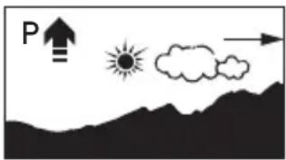 P↑ ↓