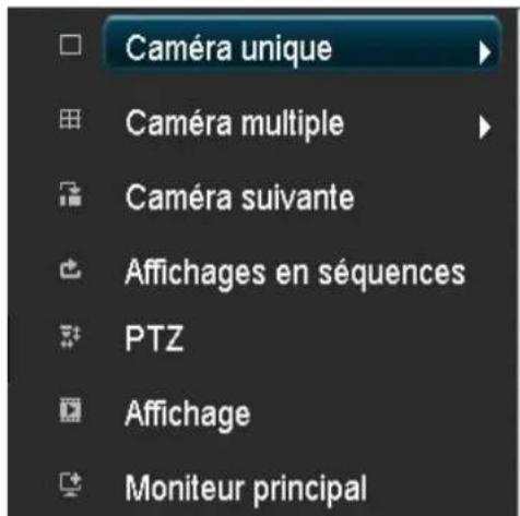 Caméra unique Caméra multiple Caméra suivante Affichages en séquences PTZ Affichage Moniteur principal
