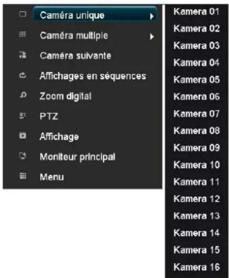 Caméra unique Caméra multiple Caméra suivante Affichages en séquences Zoom digital PTZ Affichage Moniteur principal Menu