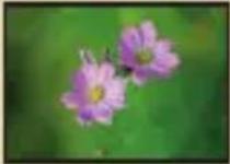 AIPTEK PocketDV AHD Z500 Plus - Powiększanie: - 7