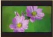 AIPTEK PocketDV AHD Z500 Plus - Powiększanie: - 2