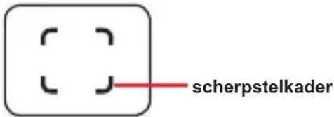 scherpstelkader