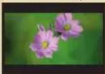 AIPTEK PocketDV AHD Z500 Plus - Масштабирование: - 5