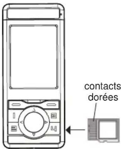 contacts dorées