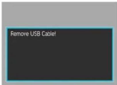 Remove USB Cable!