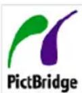 AGFAPHOTO Selecta 16 - Connecting to a PictBridge Compatible Printer - 1