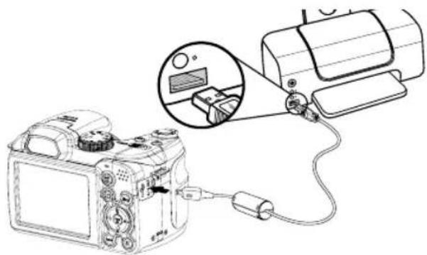 AGFAPHOTO Selecta 16 - Connecting the camera and printer. - 1