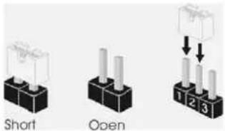 Short Open 1 2 3