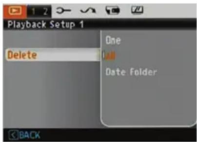 Playback Setup 1 Delete One Call Date Folder BACK