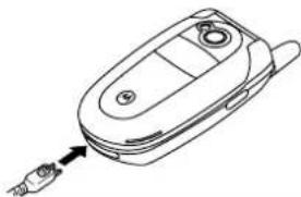 Aligator V550 - Action - 1