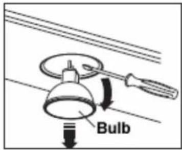 Bulb
