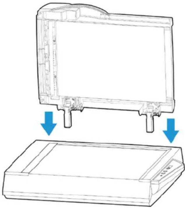 Technical line drawing of a device rear panel with blue arrows indicating downward motion (no text or symbols)