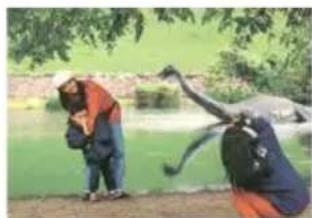 Two people outdoors near a pond, one bending forward and the other leaning forward (no visible text or symbols)