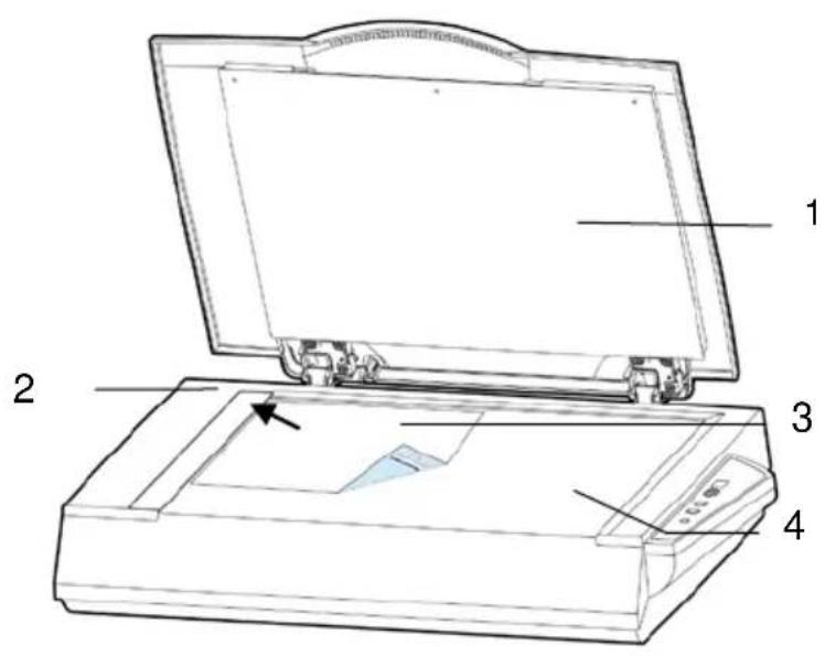 Technical diagram of a printer with labeled parts, showing open lid and internal components