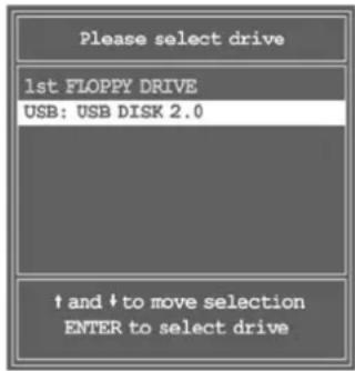 Please select drive 1st FLOPPY DRIVE USB: USB DISK 2.0 ↑ and ↓ to move selection ENTER to select drive