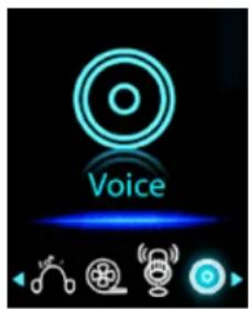 Voice