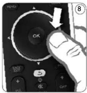 OK 8