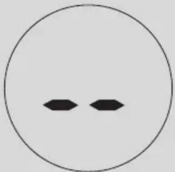 Schéma simple avec un cercle contenant deux formes de losange noir (sans texte ni symboles)