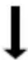 PHILIPS OR7000 - 4 - 10